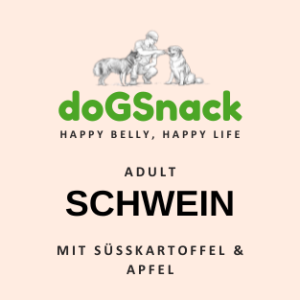 ADULT Schwein