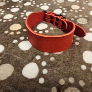 Fettlederhalsband 5 cm breit