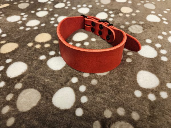 Fettlederhalsband 5 cm breit