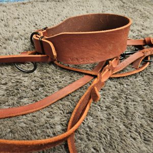 Fettlederhalsband 5 cm breit