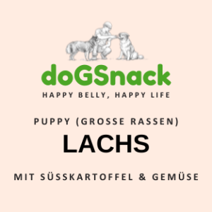 WELPE Lachs (große Rassen)