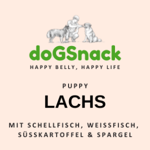 WELPE Lachs