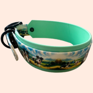Halsband BioThan I Halsumfang 35 bis 41 cm