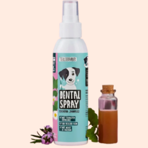 Dentalspray
