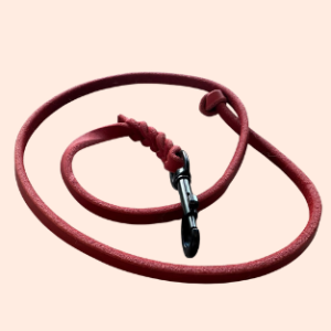 Kurzführer 10 mm