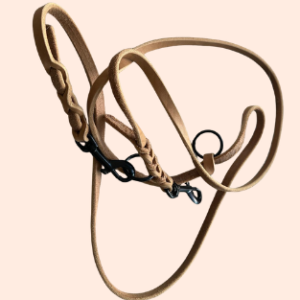 Fettlederleine – 2 m | 10 mm | mehrfach verstellbar