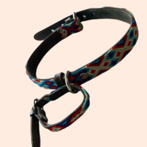 Lederhalsband mit gewebter Bordüre – für mittelgroße Hunde