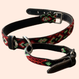 Lederhalsband mit gewebter Bordüre – für mittelgroße Hunde