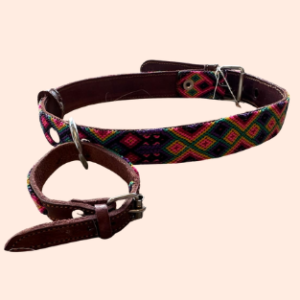 Lederhalsband mit gewebter Bordüre – für mittelgroße Hunde