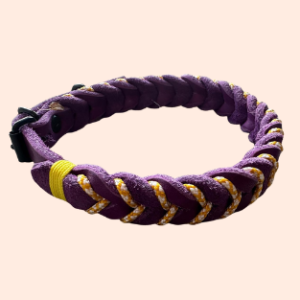 doGStuff Fettleder-Halsband – einfach geflochten mit Paracord