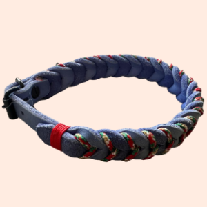 doGStuff Fettleder-Halsband – einfach geflochten mit Paracord