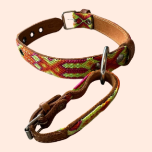 Lederhalsband mit gewebter Bordüre – für kleine Hunde