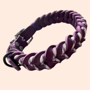 doGStuff Fettleder-Halsband – einfach geflochten mit Paracord