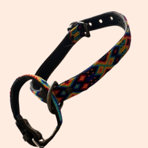 Lederhalsband mit gewebter Bordüre – für mittelgroße Hunde I 35- 45 cm