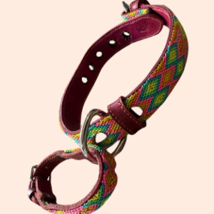 Lederhalsband mit gewebter Bordüre – für kleine Hunde