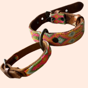 Lederhalsband mit gewebter Bordüre – für kleine Hunde