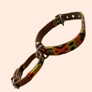 Lederhalsband mit gewebter Bordüre – für mittelgroße Hunde I 35- 45 cm