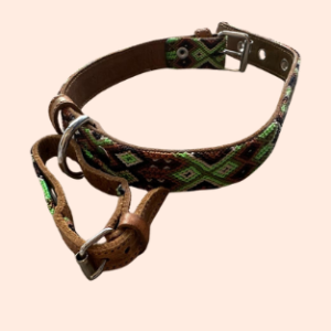 Lederhalsband mit gewebter Bordüre – für mittelgroße Hunde I 35- 45 cm