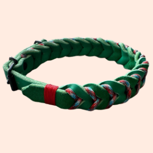 doGStuff Fettleder-Halsband – einfach geflochten mit Paracord