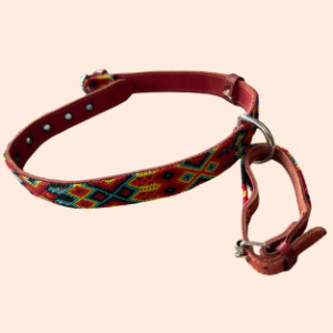 Lederhalsband mit gewebter Bordüre – für mittelgroße Hunde