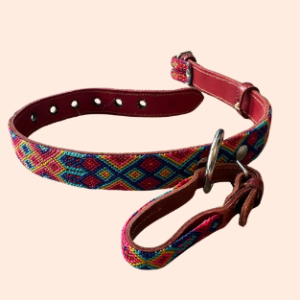 Lederhalsband mit gewebter Bordüre – für mittelgroße Hunde