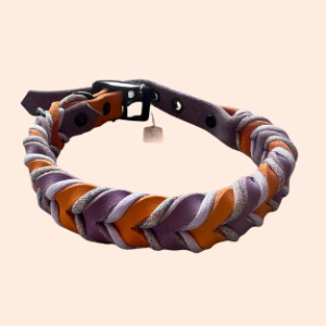 doGStuff Fettleder-Halsband – doppelt geflochten mit Paracord