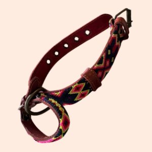Lederhalsband mit gewebter Bordüre – für kleine Hunde