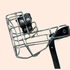 CHOPO American Cocker Rüde