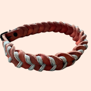 doGStuff Fettleder-Halsband – einfach geflochten mit Paracord