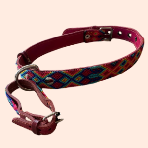 Lederhalsband mit gewebter Bordüre – für mittelgroße Hunde