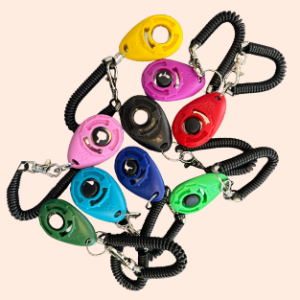 Clicker – präzises Trainingssignal für deinen Hund