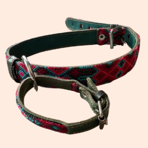 Lederhalsband mit gewebter Bordüre – für mittelgroße Hunde