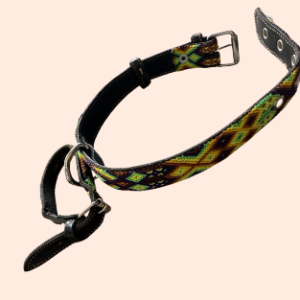 Lederhalsband mit gewebter Bordüre – für mittelgroße Hunde I 35- 45 cm