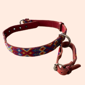 Lederhalsband mit gewebter Bordüre – für mittelgroße Hunde